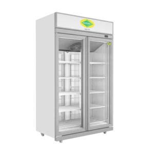 Vertical Freezer Double Door