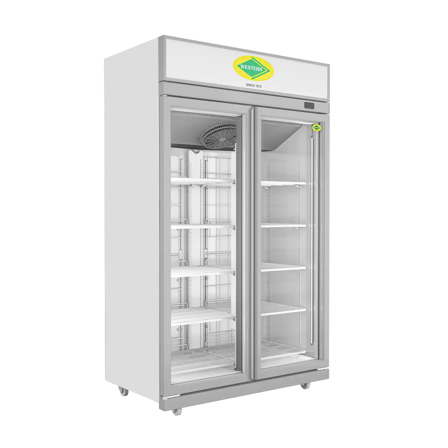 Vertical Freezer Double Door
