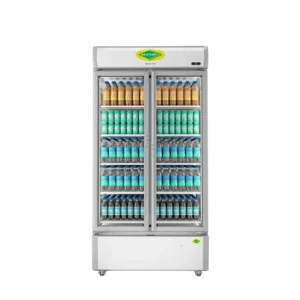 Double Door Visi Cooler