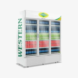 Triple Door Visi Cooler